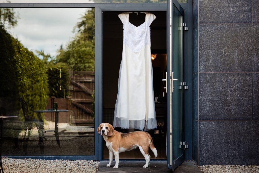 A beautiful elopement at Castle Martyr Resort with Cary and Andreas. Ohh! and the doggies too